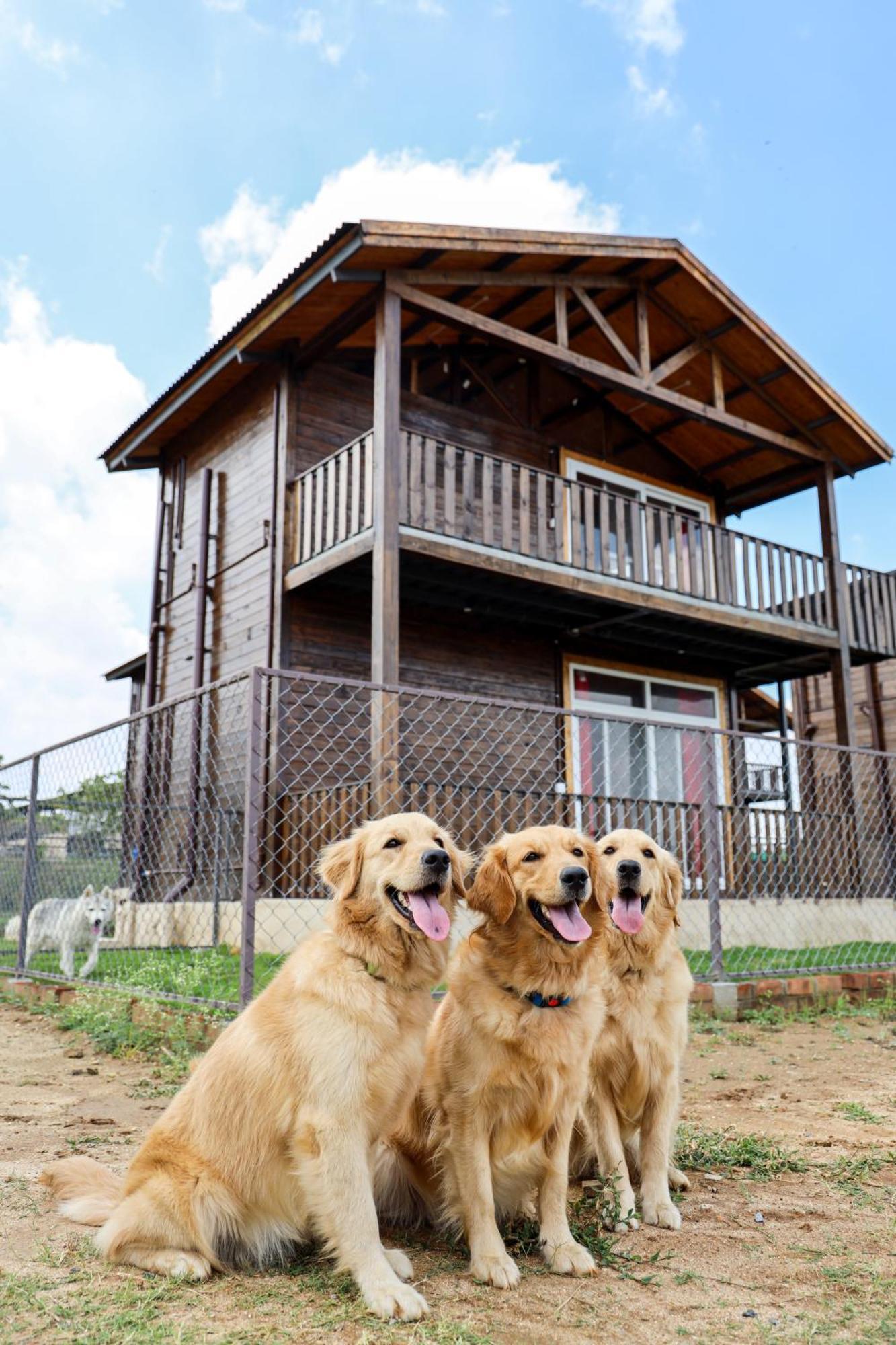 Therpup Resort Kammasandra エクステリア 写真